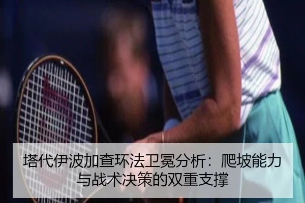ta-dai-yi-bo-jia-cha-huan-fa-wei-mian-fen-xi-pa-po-neng-li-yu-zhan-shu-jue-ce-de-shuang-chong-zhi-cheng-3-602.jpg